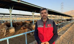 Sadakataşı Gazze Şeridi için Mısır'da kurban kesimini tamamladı