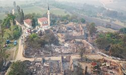 Sakarya'da ormanlık alanda başlayıp Bilecik tarafına sıçrayan yangında çok sayıda ev zarar gördü