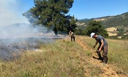 Sakarya'da ormanlık alanda çıkan yangına müdahale ediliyor