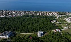 Samsun'da Çakırlar Korusu ziyaretçilerin ilgisini çekiyor