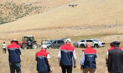 Siirt'te çekirgelere karşı dronla ilaçlama yapılıyor