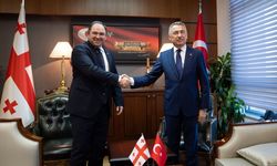 TBMM Dışişleri Komisyonu Başkanı Oktay, Gürcistan Dışişleri Komisyonu Başkanı Samkharadze ile görüştü: