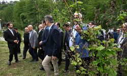 TBMM Komisyonu, Düzce ve Sakarya'da zirai dondan etkilenen bahçeleri inceledi