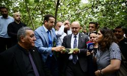 TBMM Komisyonu üyeleri, Giresun ve Ordu'da zirai donun fındıktaki etkilerini araştırdı