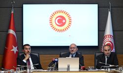 TBMM Zirai Don Olayını Araştırma Komisyonu toplandı