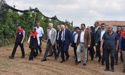 TBMM Zirai Don Olayını Araştırma Komisyonu üyeleri, Karaman'da elma bahçelerini inceledi