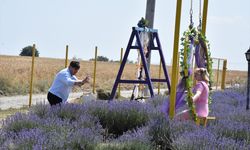 Tekirdağ'da lavanta bahçeleri fotoğraf tutkunlarını ağırlıyor