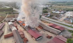 Tokat'ta tuğla fabrikasında çıkan yangın söndürüldü