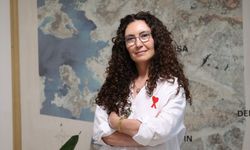 Türkiye'de orman yangınları için riskli döneme giriliyor