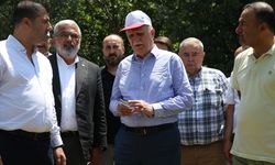 TZOB Genel Başkanı Bayraktar, Hatay'da narenciye bahçelerinde incelemelerde bulundu: