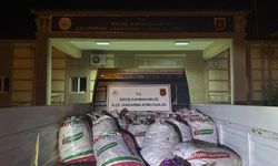 Van'da kaçak avlanan 2 ton inci kefali ele geçirildi