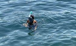 Yüzmeyi yeni öğrenenler yardıma ihtiyacı olabileceğini söylemekten çekinmemeli