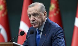 Cumhurbaşkanı Erdoğan: (Orman yangınları) 1 Haziran'dan bu yana 149 şüpheli gözaltına alındı, 38 kişi tutuklandı