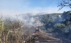 Adana'da makilikte başlayıp ormanlık alana sıçrayan yangın kontrol altına alındı