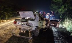 Adana'da otomobil ile kamyonet çarpıştı, 4 kişi yaralandı