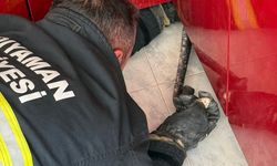 Adıyaman'da evin mutfağına giren yılanı itfaiye ekibi yakaladı