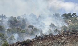 Adıyaman'da ormanlık alanda çıkan yangın kontrol altına alındı