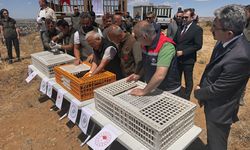Aksaray'da 500 kınalı keklik doğaya bırakıldı