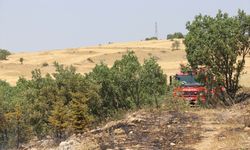 Amasya'da otluk arazide çıkıp ormanlık alana sıçrayan yangın söndürüldü