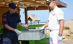 Antalya'da çuvala dolanan caretta caretta yavrusunun tedavisi tamamlandı