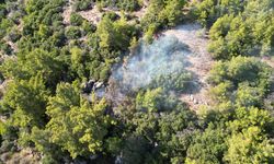 Antalya'da ormanlık alanda çıkan yangın söndürüldü