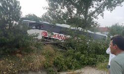 Antalya'da yol kenarındaki ağaçlara çarpan otobüsteki 10 kişi yaralandı