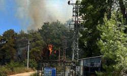 Antalya'nın Manavgat ilçesinde çıkan orman yangınına müdahale ediliyor