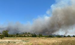 Antalya'nın Serik ilçesinde çıkan yangına müdahale ediliyor