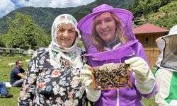 Artvin'de arıcılığı doğa turizmiyle birleştiren 'apiturizm' faaliyetleri sürüyor