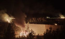 Balıkesir'de devrilen kamyonun alev alması sonucu çıkan ve ormanlık alana sıçrayan yangın söndürüldü