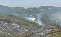 Balıkesir'deki orman yangınına müdahale sürüyor