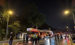 Beykoz'da ormanlık alanda çıkan yangın söndürüldü