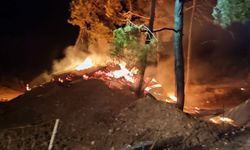 Bilecik'te çiftlikte başlayıp ormanlık alana sıçrayan yangına müdahale ediliyor