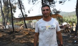 Bilecik'te yangında küçükbaş hayvanlarını kaybeden girişimcinin 'ırk' çalışmaları da kül oldu