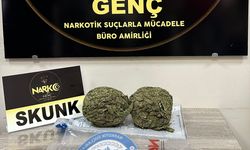 Bingöl'de uyuşturucu operasyonunda 1 zanlı tutuklandı