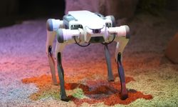 BİTES, robot köpeklerle ürettiği çözümlerle IDEF 2025'te