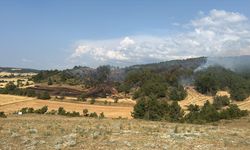 Bolu'da iki ayrı ormanlık alanda çıkan yangınlara müdahale ediliyor