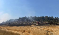 Bolu'da ormanlık alanda çıkan yangın kontrol altına alındı