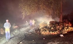 Bolu'nun Mudurnu ilçesinde çıkan yangına müdahale ediliyor