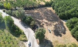 Bursa'da arazide çıkan yangın söndürüldü