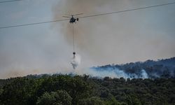 Bursa'da çıkan orman yangınına müdahale ediliyor
