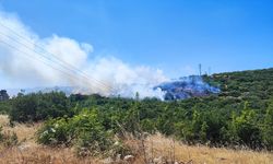 Bursa'nın 2 ilçesinde çıkan orman yangınına müdahale ediliyor