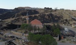 Çanakkale Ayvacık'ta çıkan orman yangınını kontrol altına alma çalışmaları sürüyor