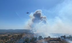 Çanakkale'de çıkan orman yangınına müdahale ediliyor