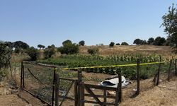 Çanakkale'de kaybolan kadın su kuyusunda ölü bulundu