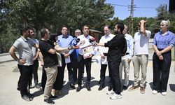 CHP'li Adem, Bağcıoğlu ve Yavuzyılmaz'dan orman yangınlarına ilişkin açıklama