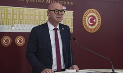 CHP'li Sarı, orman yangınlarıyla mücadele politikasını eleştirdi
