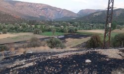 Çorum'da anız yangınının ortasında kalan kişi yaşamını yitirdi