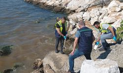 Denize kentsel atık su deşarj eden Yalova Belediyesine 1,3 milyon lira ceza