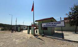 Düzce Kurtsuyu Hayvan Barınağı ve Doğal Yaşam Alanı genişletiliyor